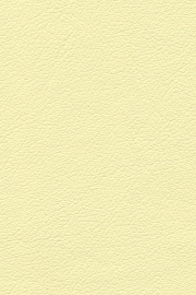 13103 13103