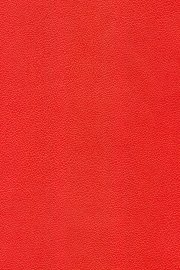 13201 13201