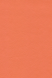 13250 13250