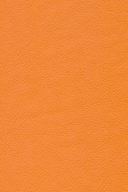 13256 13256