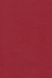 13220 13220