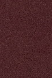 13275 13275