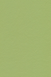 13403 13403