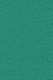 13404 13404