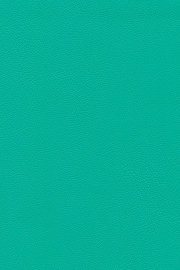 13410 13410