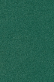 13420 13420
