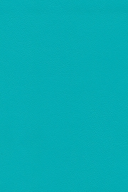 13405 13405
