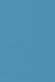 13507 13507