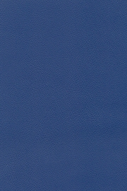13504 13504