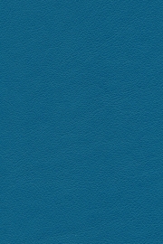 13523 13523
