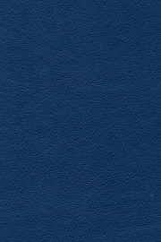 13501 13501