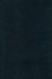 13901 13901