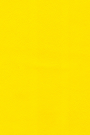 13801 13801
