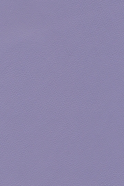 13803 13803