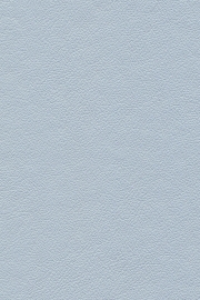 13503 13503